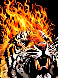Fire Tiger.jpg